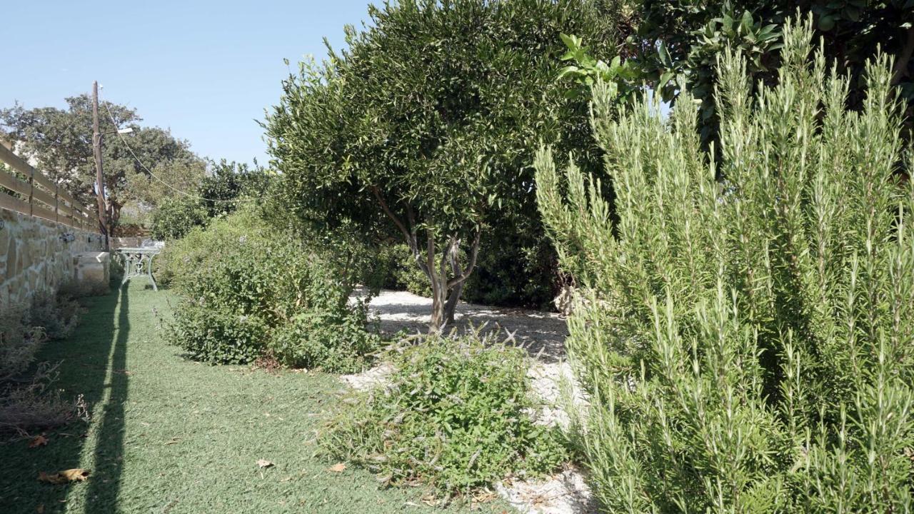 Studio Eleni - Oasis Holiday Houses Kokkinos Pyrgos Eksteriør bilde