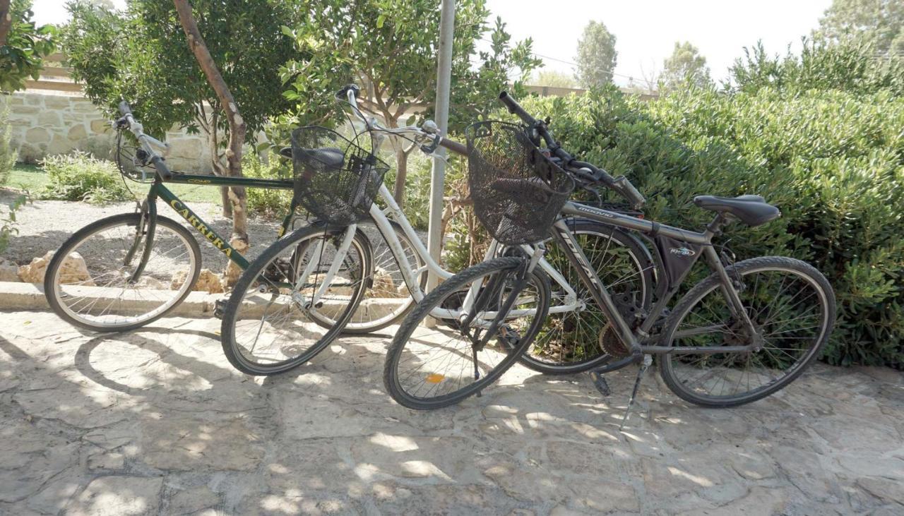 Studio Eleni - Oasis Holiday Houses Kokkinos Pyrgos Eksteriør bilde